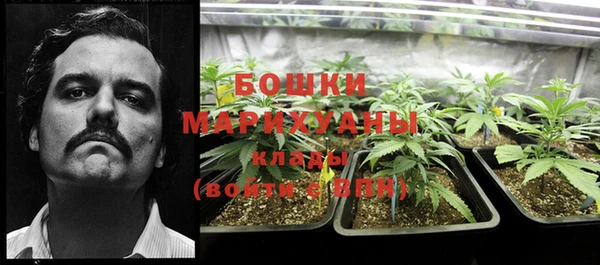мдма Белокуриха