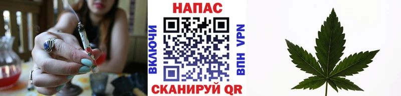 Бошки марихуана MAZAR  Называевск 